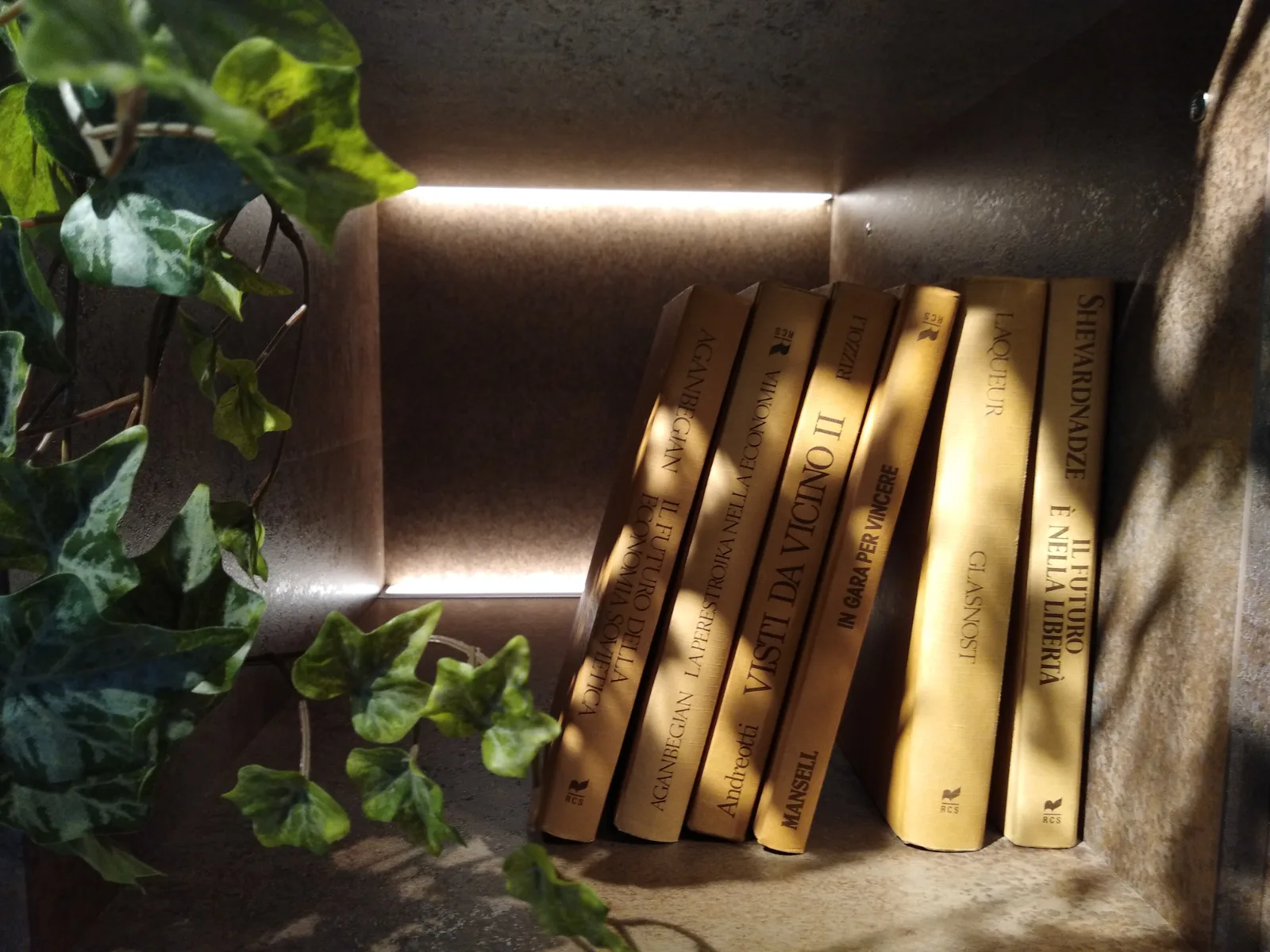 Una pila di libri dorati illuminati da una luce laterale, con foglie verdi che creano un'atmosfera accogliente.